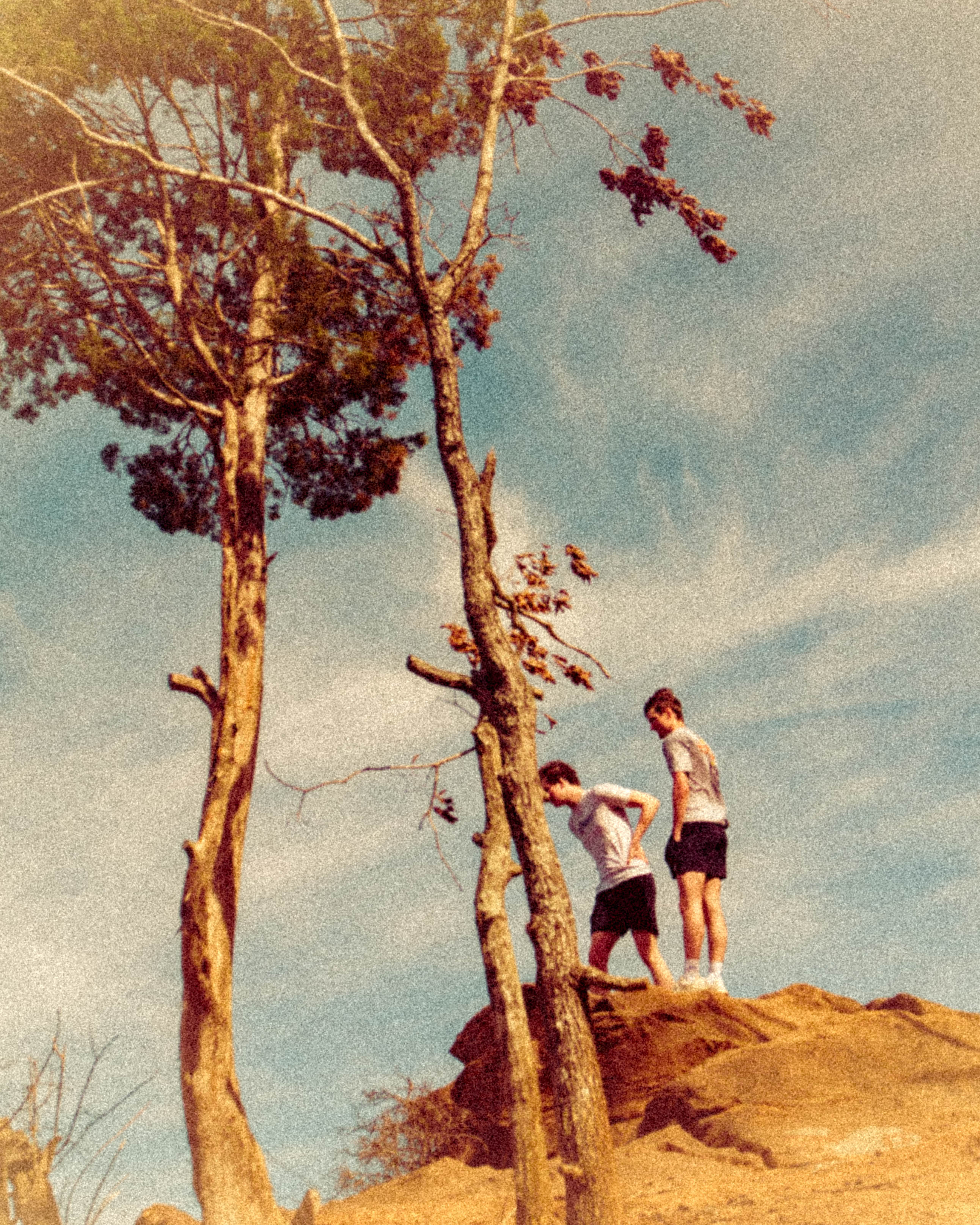 Photograph 05